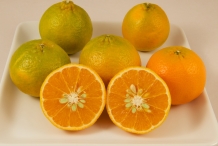 Half-cut-Mandarin-orange