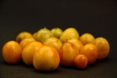 Mature-fruits-of-Mandrake