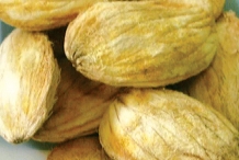 Mango-seed-11