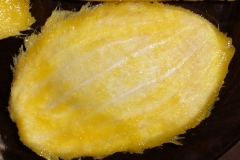 Mango-Seed-12