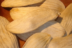 Mango-seed-8