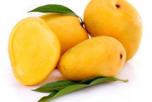 Ripe-Mangoes