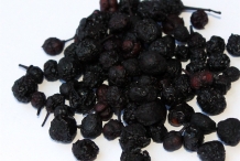 Maqui-berry-dried