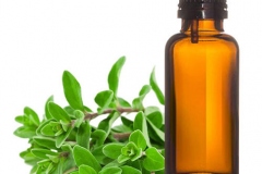 Marjoram-essential-oil