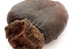 Closer-view-of-dried-fruit-of-Marking-Nut