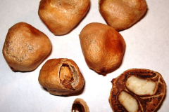 Marula-stones