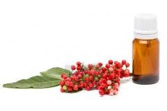 Mastic-gum-oil