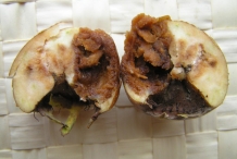 Medlar-fruit-cut