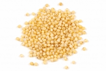 Millet