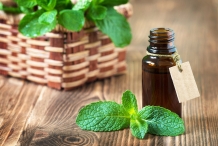 Mint-essential-oil