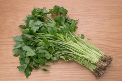 Harvested-Mitsuba-plant