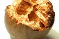 Half-cut-Monk-fruit