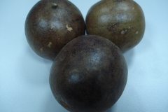 Monk-fruits