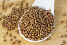 Moth-bean-seeds