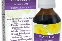 Mouse-ear-hawkweed-tincture