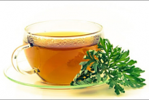 Mugwort-tea