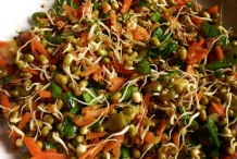 Mung-bean-sprout-salad