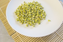 Mung-bean-sprouts-4