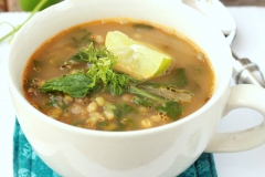 Sprouted-Mung-Bean-and-Spinach-Soup-Recipe