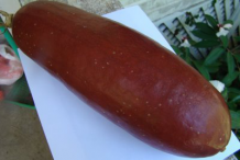 Musk-Cucumber