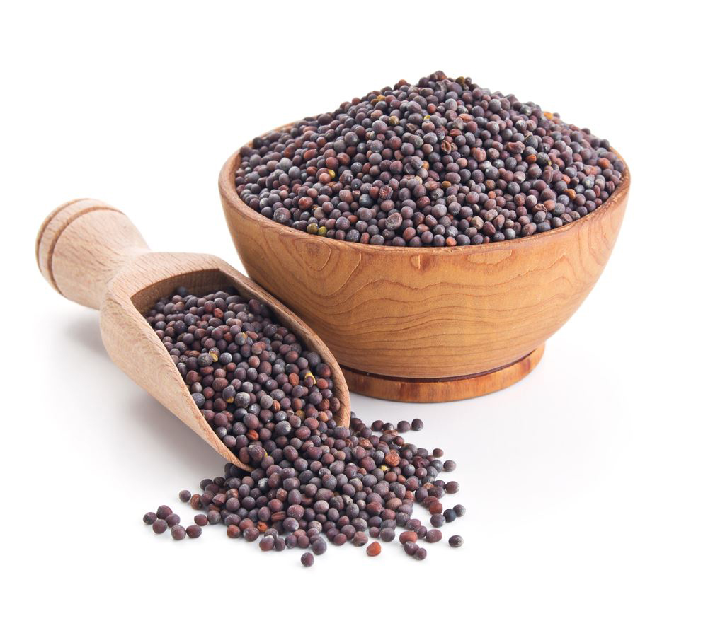 Mustard Seeds Facts Health Benefits Nutritional Value Mustard Seeds Facts Health Benefits Nutritional Value