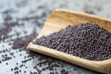 Mustard-seeds-3