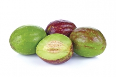 Collected-unripe-Myrobalan