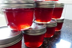 Nanking-cherry-Jelly