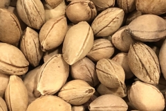 Seeds-of-Nanking-cherry