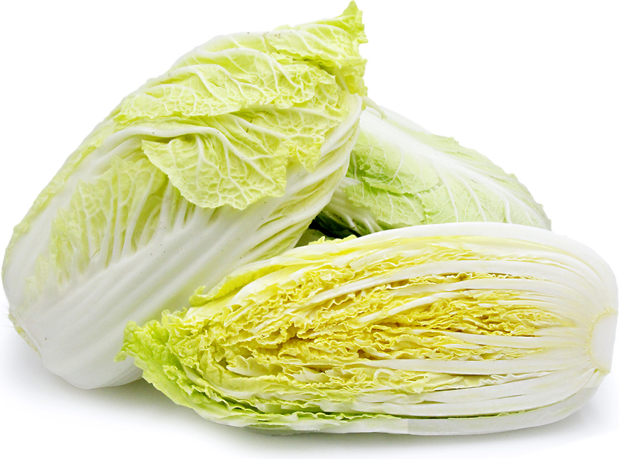 Napa-cabbage