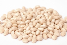Seeds-of-Navy-beans