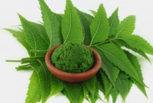 Neem-paste