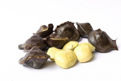 Ngapi-Nut
