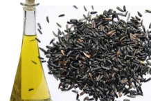 Niger-seeds-oil