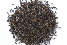 Niger-seeds