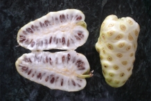 Noni-fruit-cut