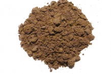 Noni-fruit-powder
