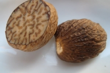 Half-cut-Nutmeg-seeds