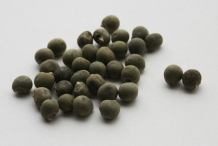 Okra-seeds