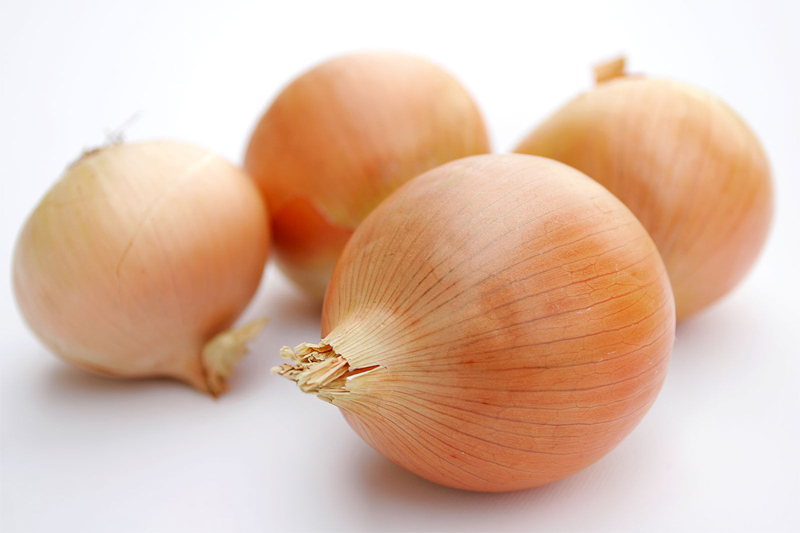 Onion-bulbs