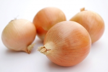 Onion-bulbs