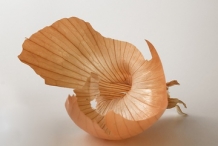 Onion-skin