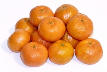 Orange-collection