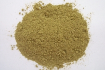 Oregano-powder