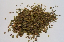 Oregano-spice