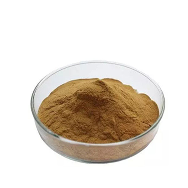 Osha-root-powder