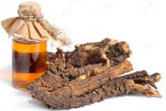 Osha-roots-oil