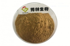 Root-powder-of-Ox-knee