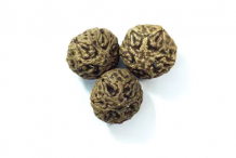 Pacific-Walnut