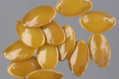 Seeds-of-Pale-flax